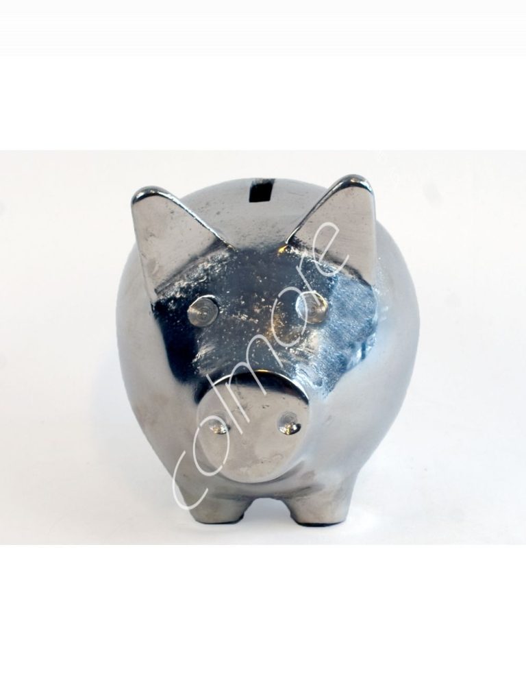 Piggy bank ALU RAWNI 10x14x12