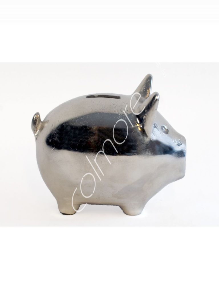 Piggy bank ALU RAWNI 10x14x12