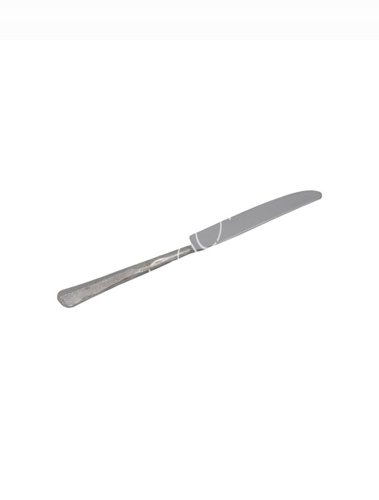 Table knife nickel ss 24x2x1