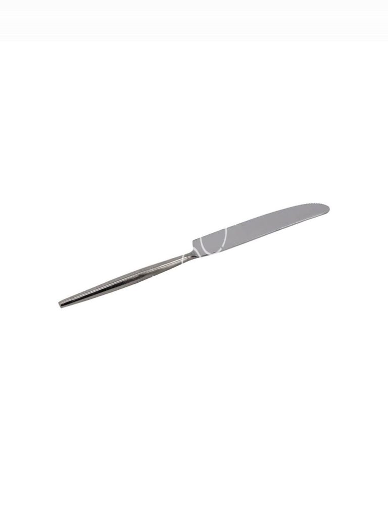 Table knife nickel ss 24x2x1