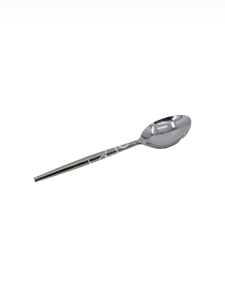 Table spoon nickel ss 20x4x1