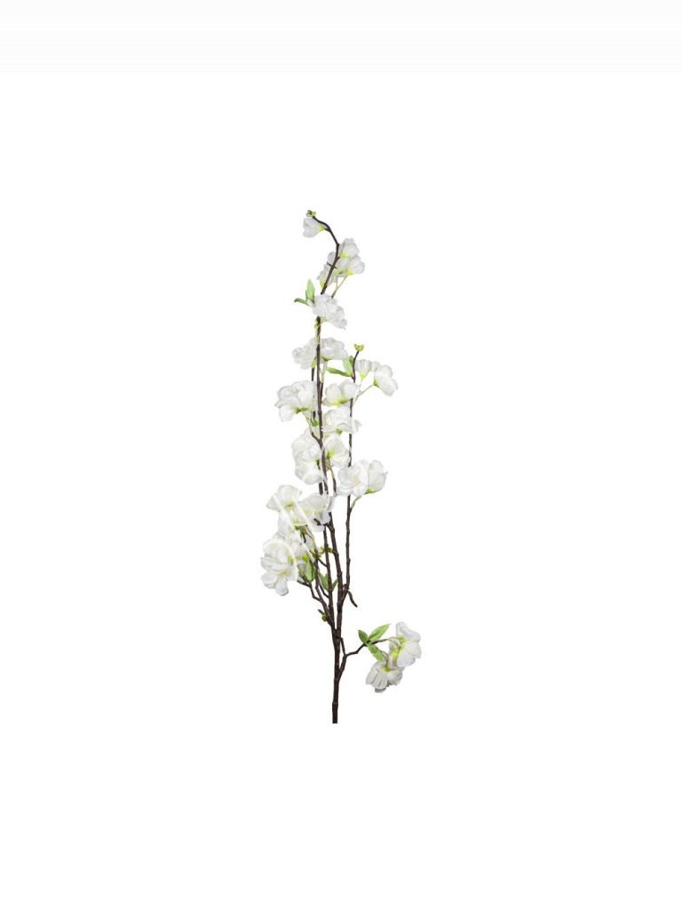 Flower blossom white cherry 115cm