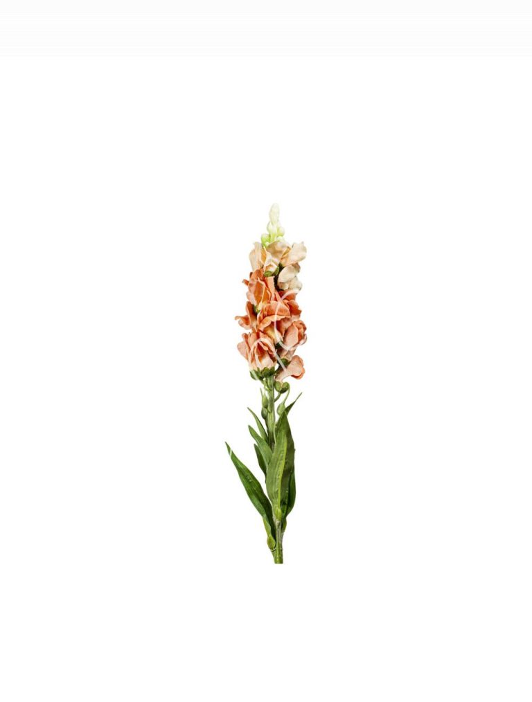 Flower hornwort orange 52cm