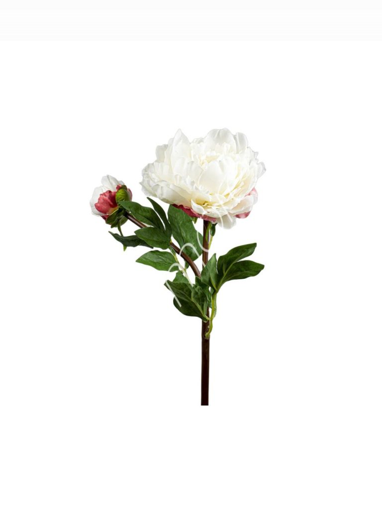 Flower peony white 54cm