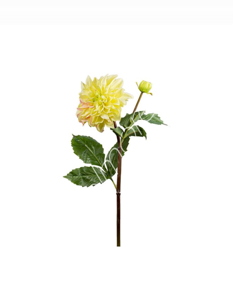 Flower Dahlia yellow 50cm