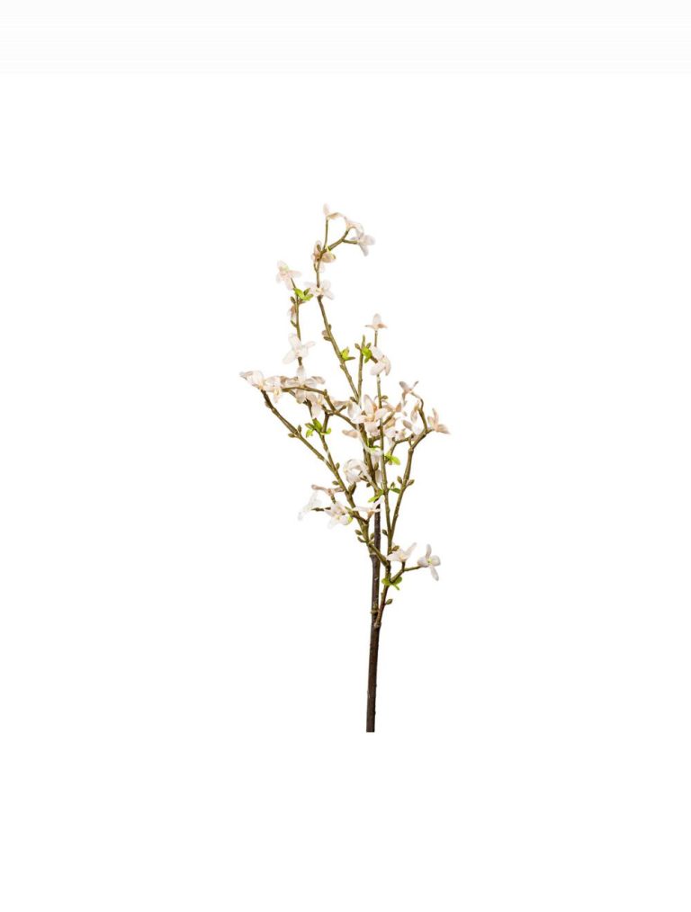 Flower forsythia peach 90cm