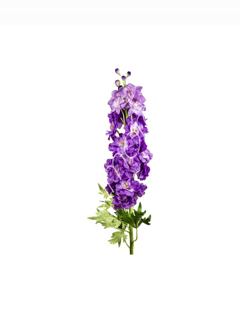 Flower delphinium light purple 106cm