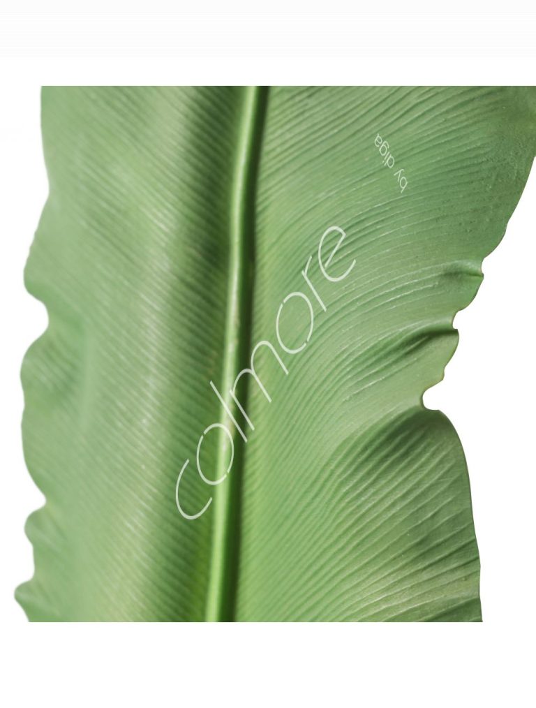 Plant ganoderma leaf PU 105x15
