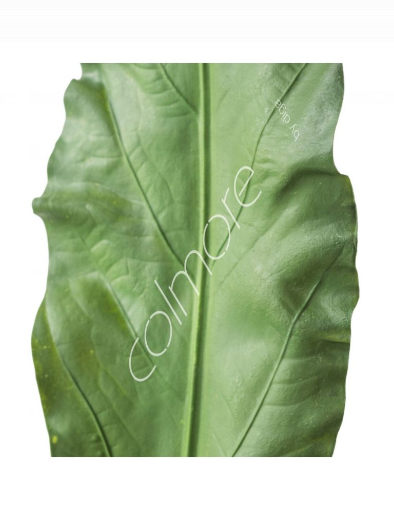 Plant small leaf green PU 103x15