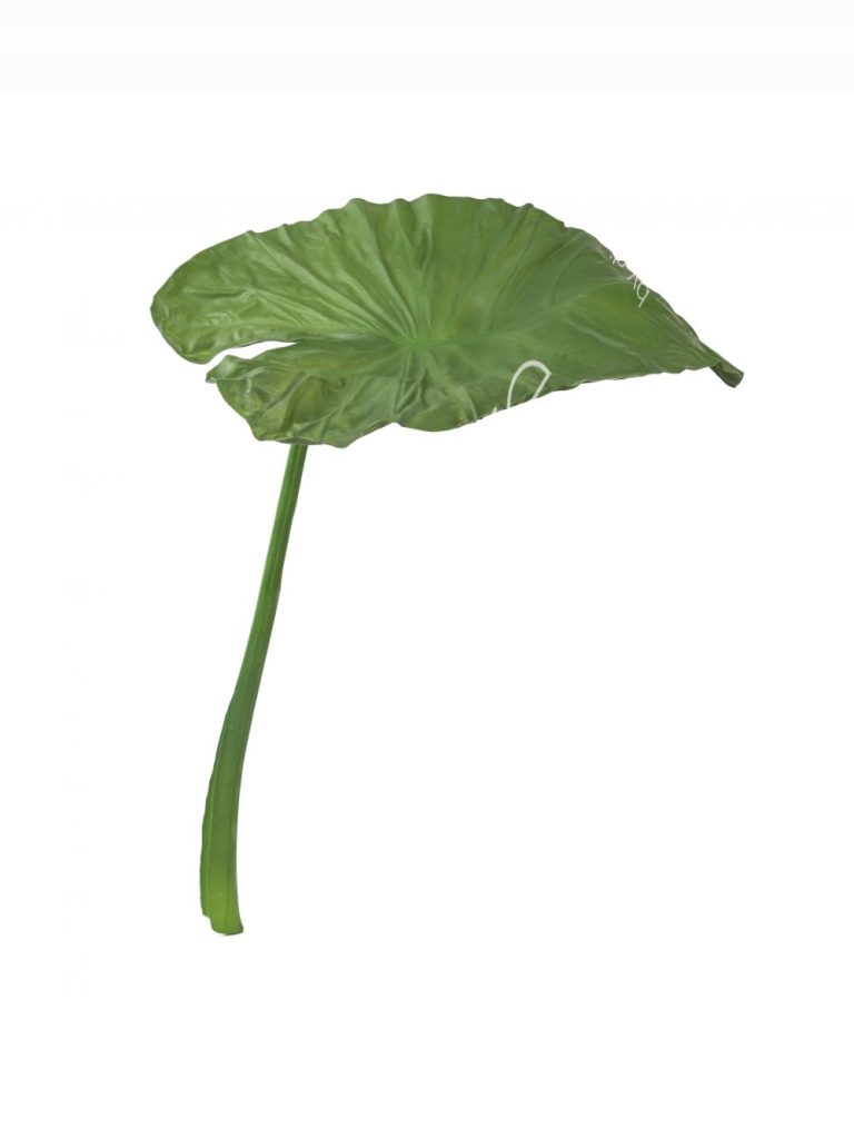 Plant large leaf PU 103x37