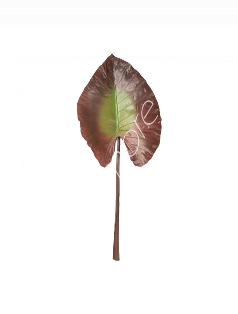Plant batata leaf autumn PU 106x45
