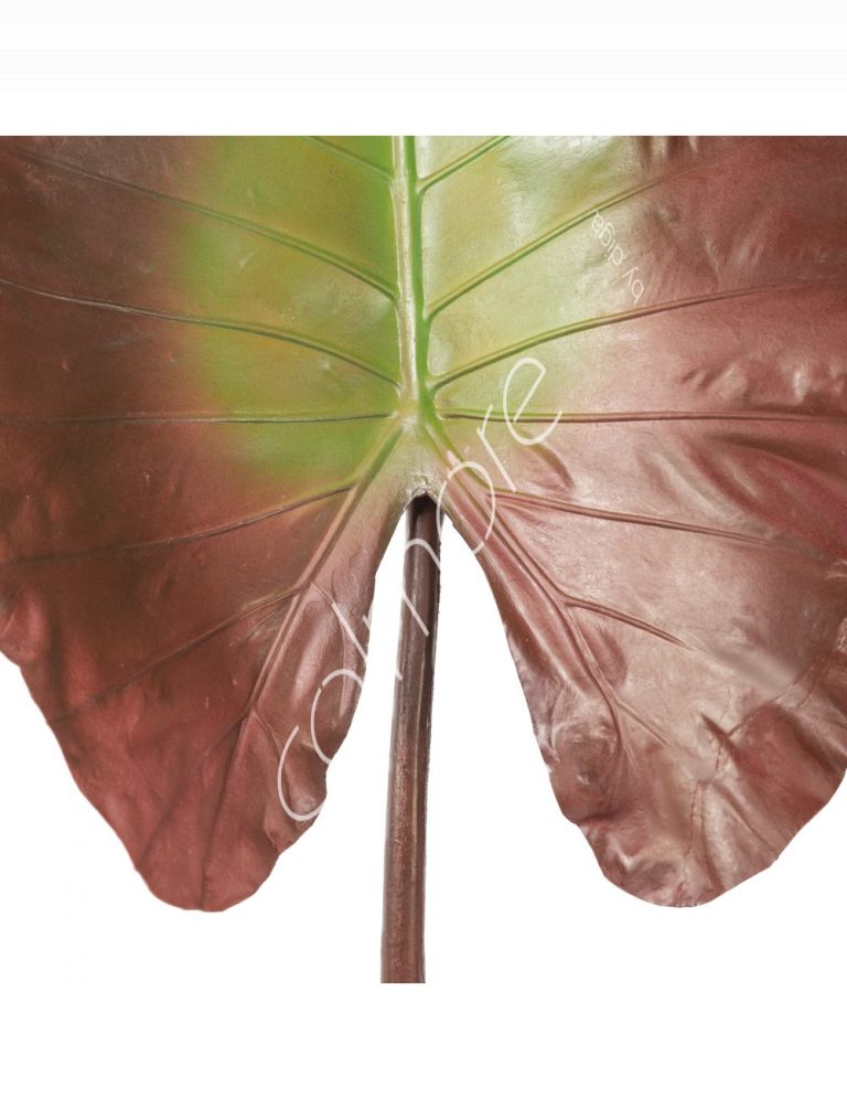 Plant batata leaf autumn PU 106x45