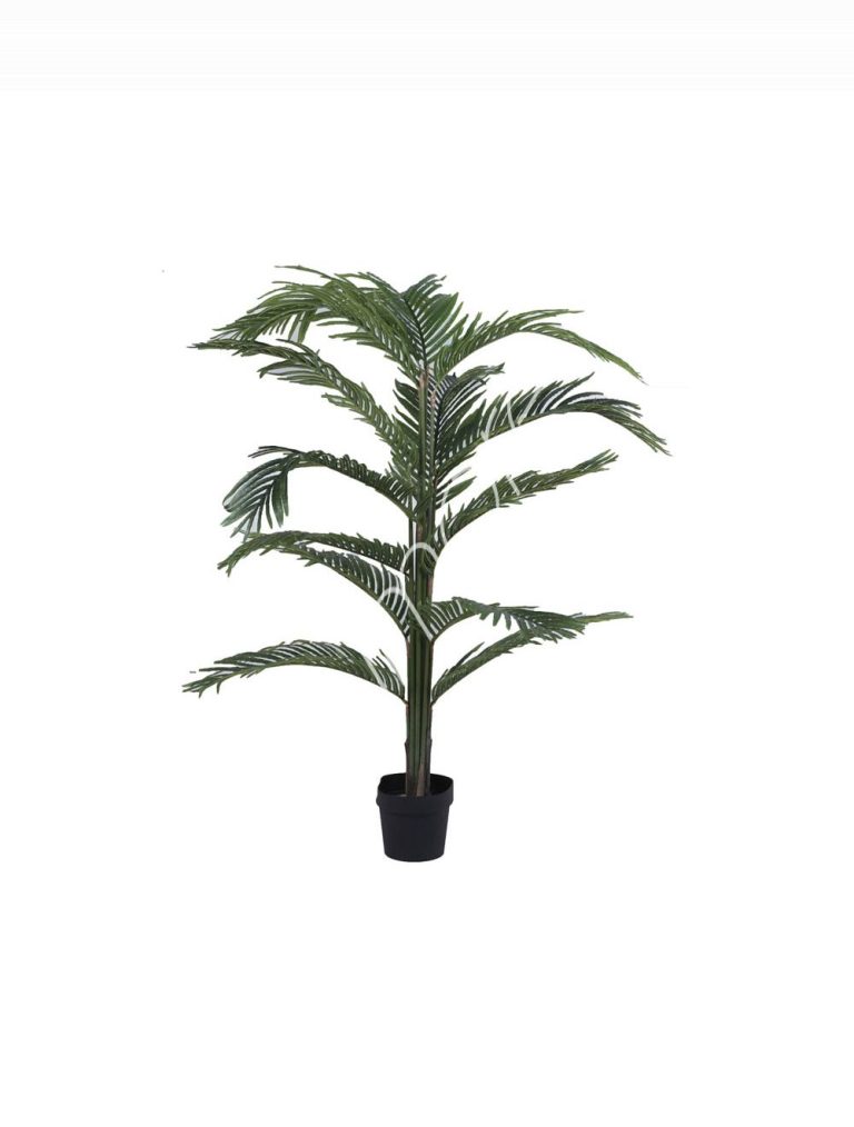 Plant diffus kwai PU 170cm