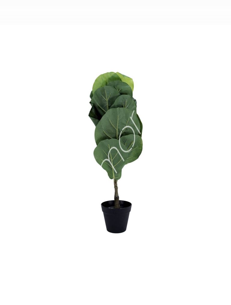 Plant fiddle leaf PU 80cm
