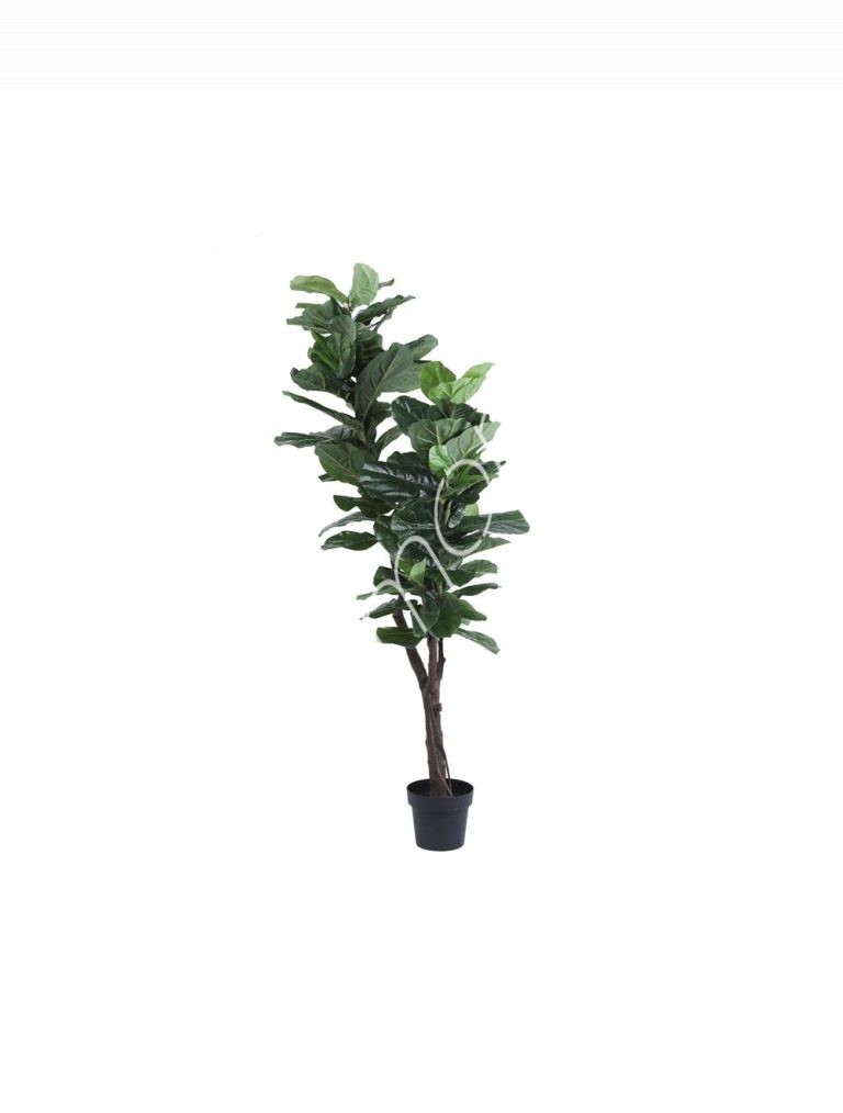 Plant fiddle leaf PU 180cm