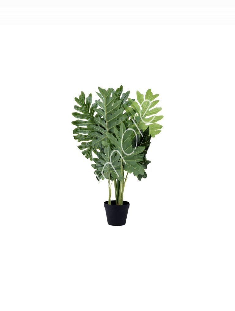 Plant philodendron PU 110cm