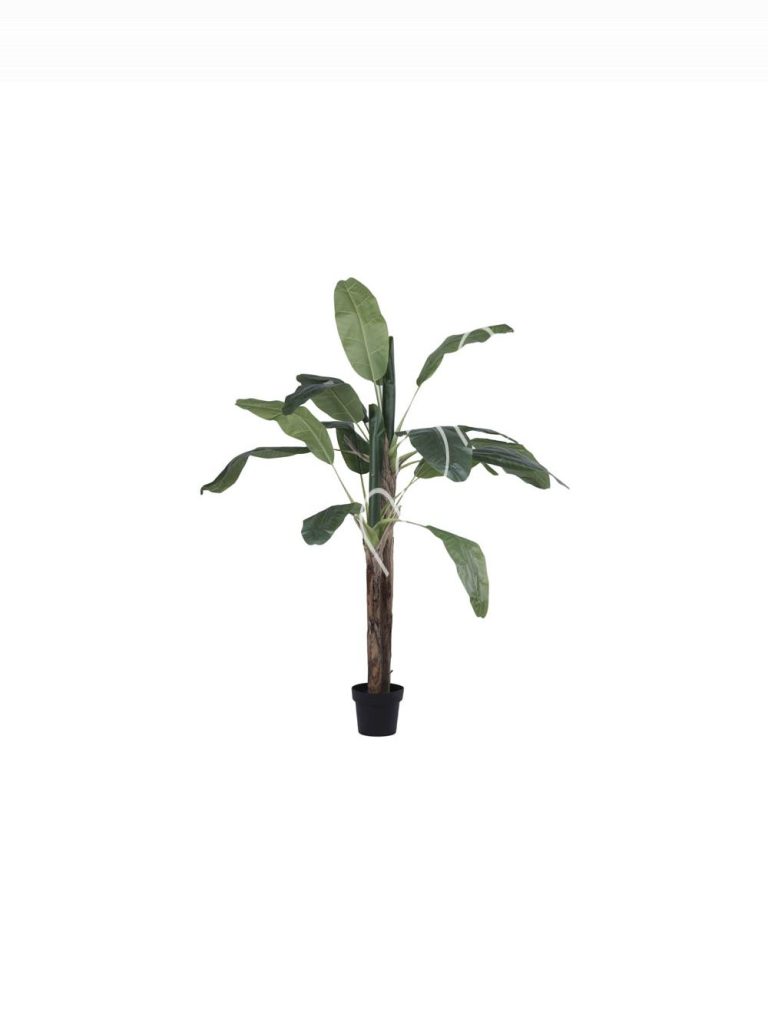 Plant banana tree PU 180cm