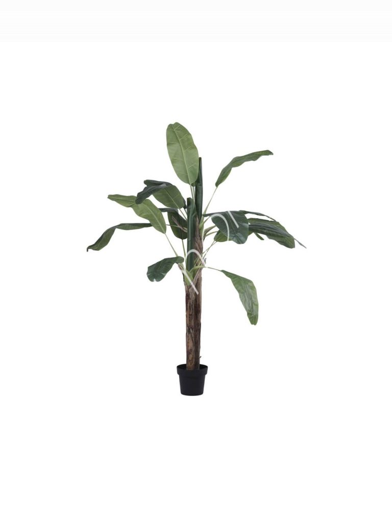 Plant banana tree PU 230cm