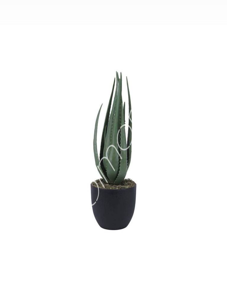 Plant aloe PU 66cm
