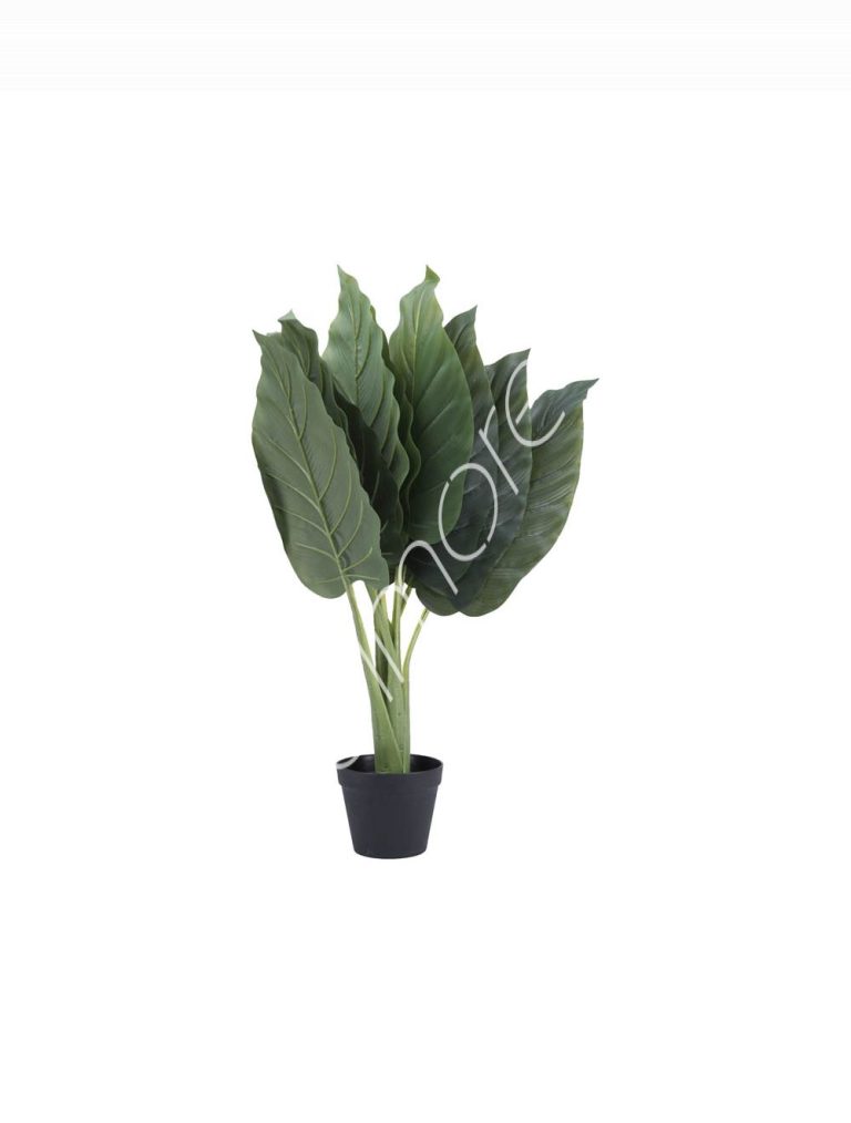 Plant Gold diamond tree 110cm