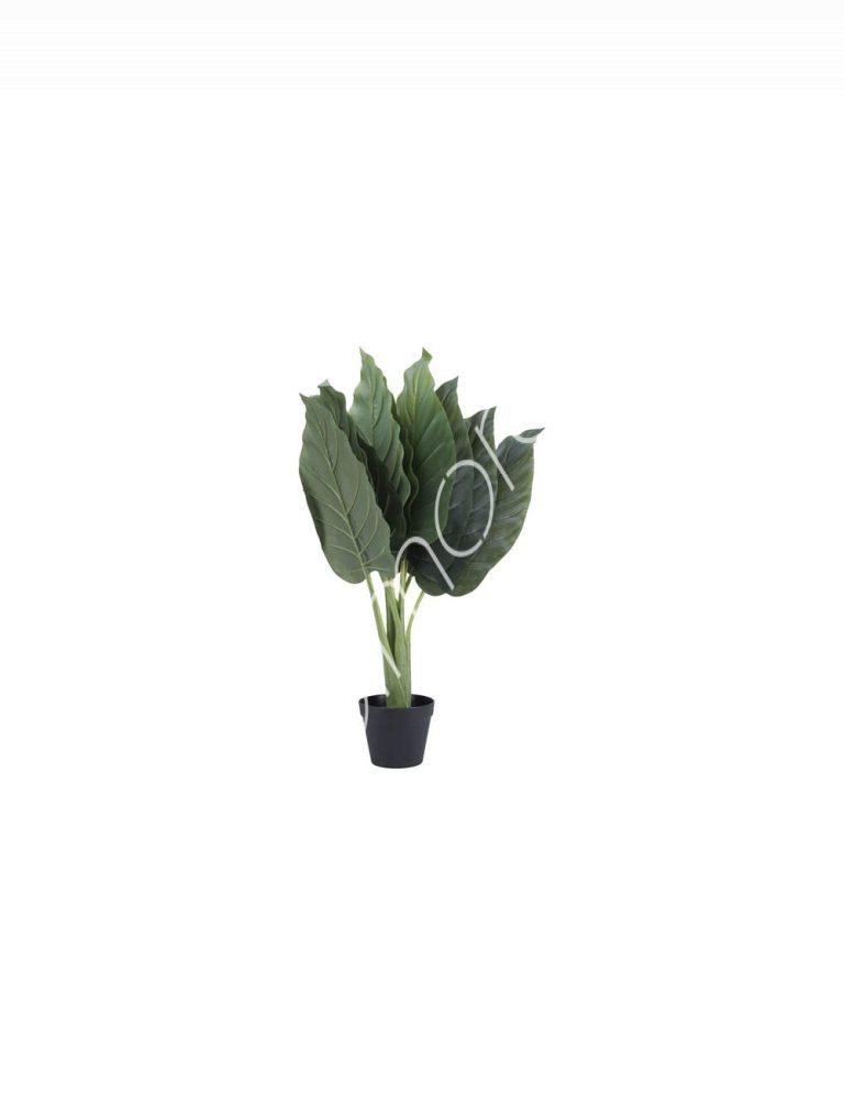 Plant Gold diamond tree 85cm