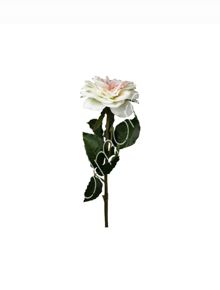 Flower rose white/pink 72cm