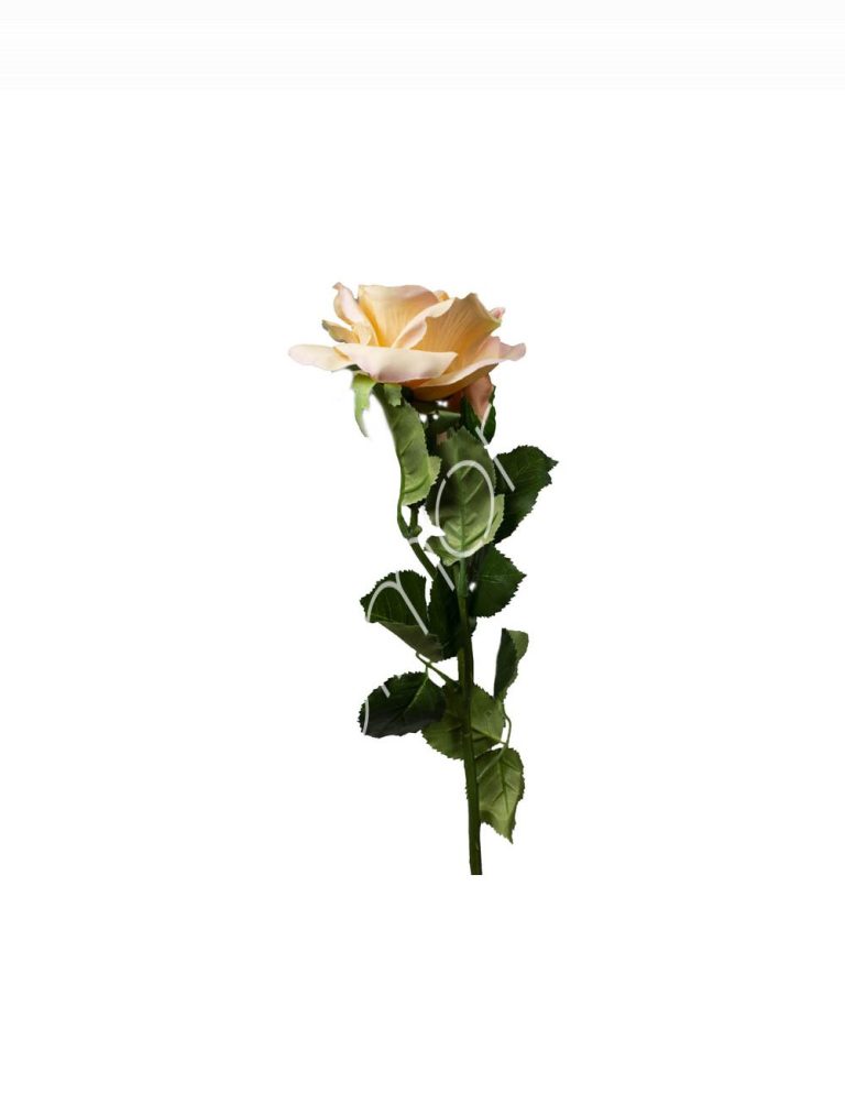 Flower rose peach 52cm