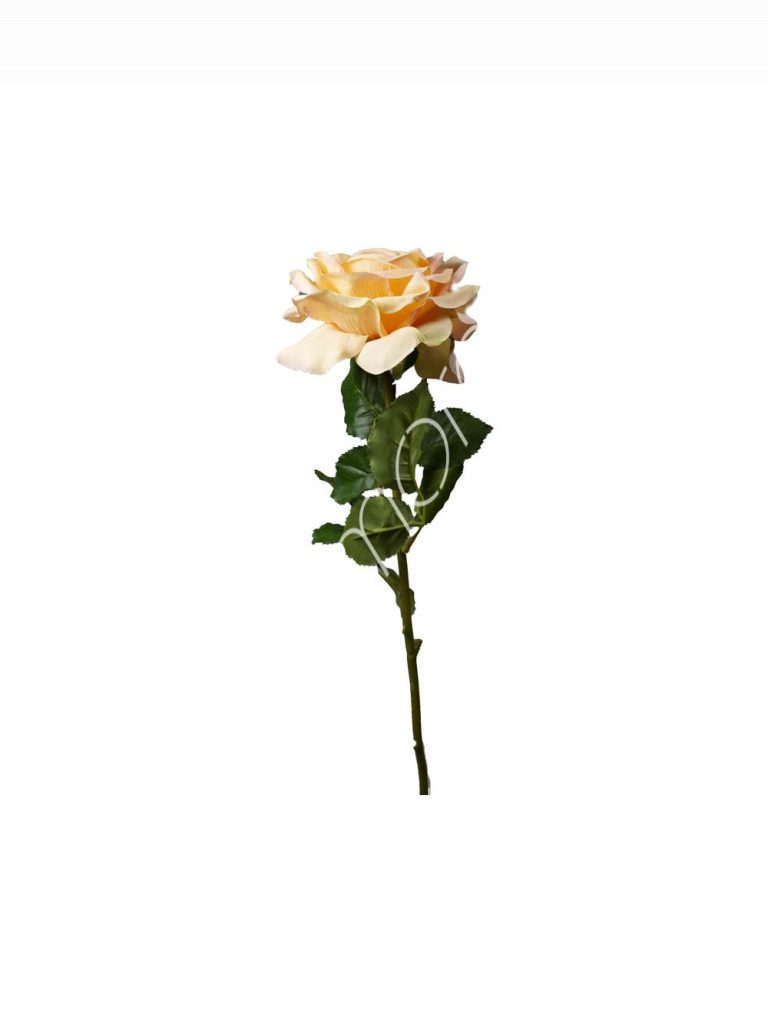 Flower rose peach 75cm