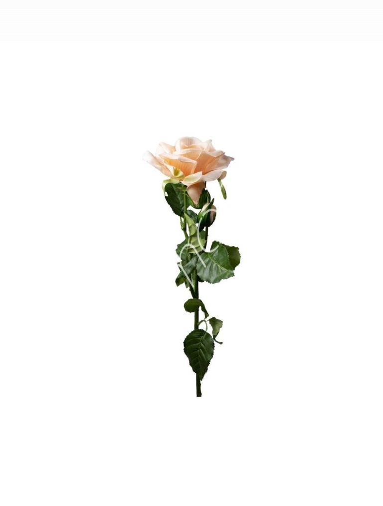 Flower rose peach 52cm