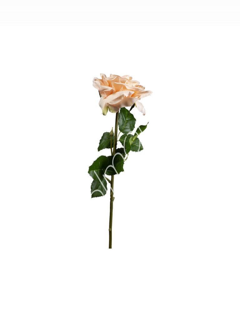 Flower rose peach 75cm