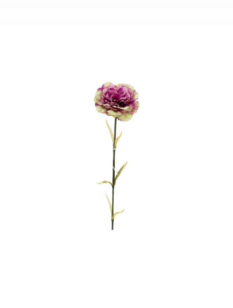 Flower canation pink 64cm