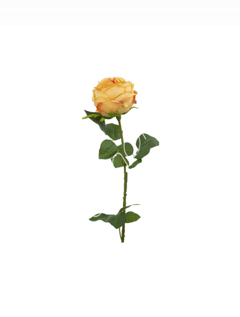 Flower rose peach 88cm