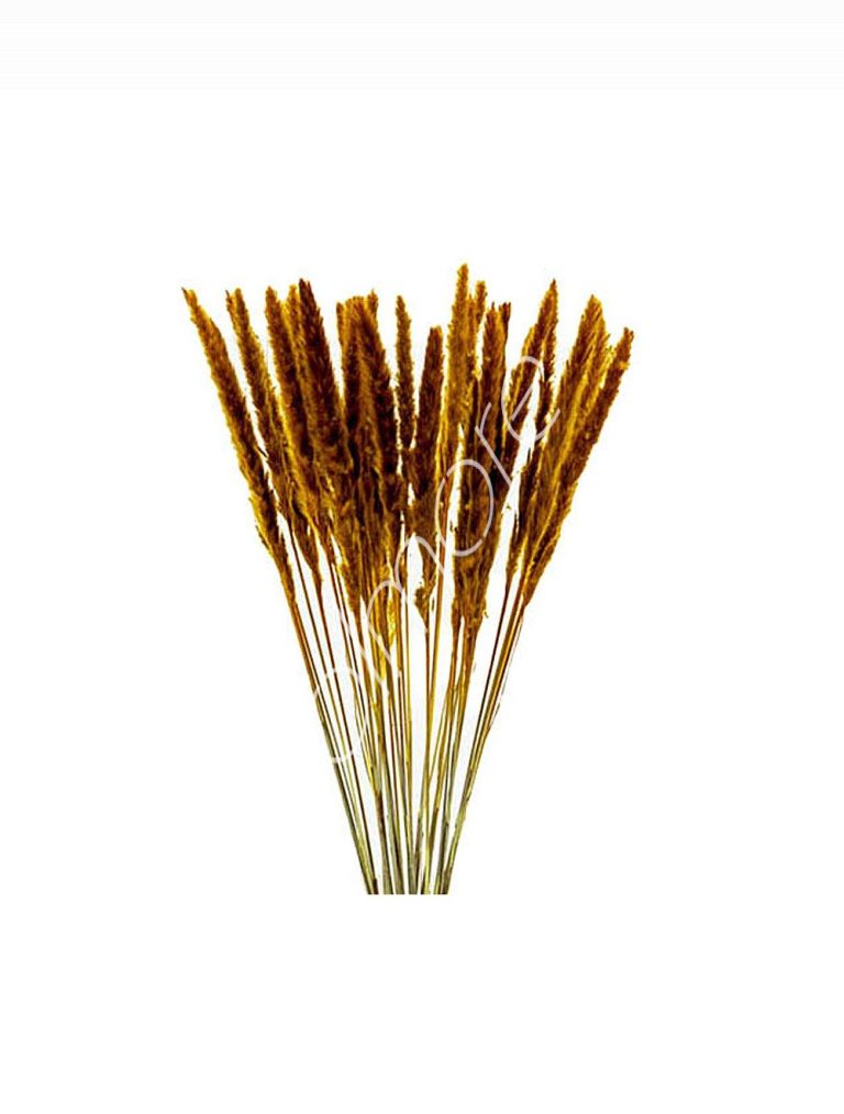 Bundle of dry leaves orange 75-85cm