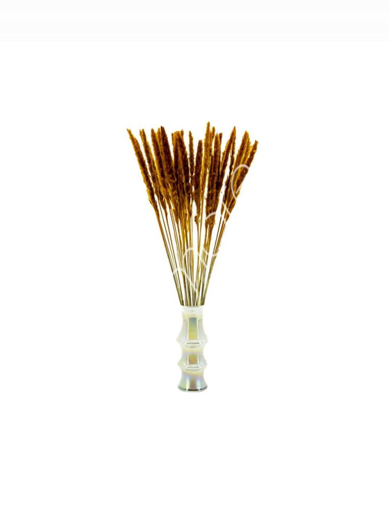 Bundle of dry leaves orange 75-85cm