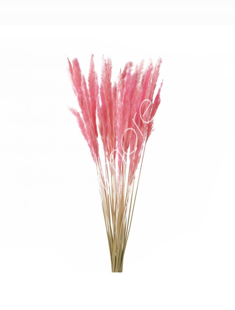 Bundle of dry leaves pink 75-85cm