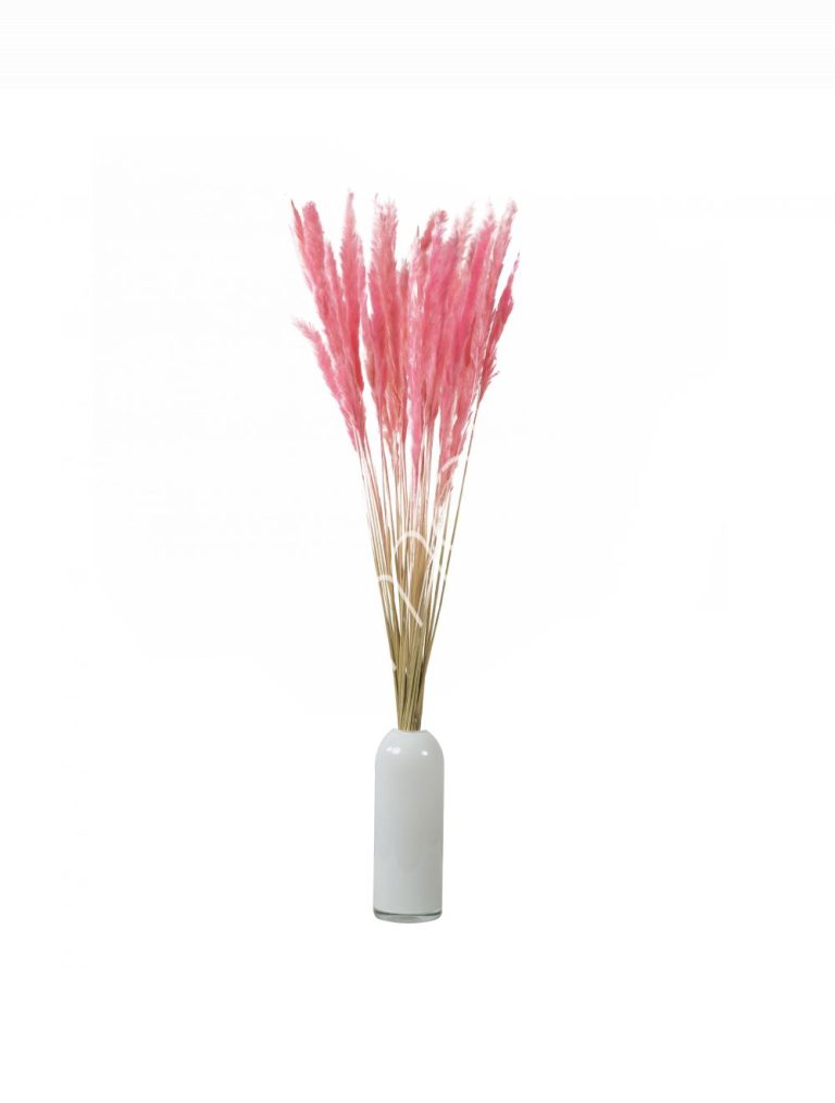 Bundle of dry leaves pink 75-85cm