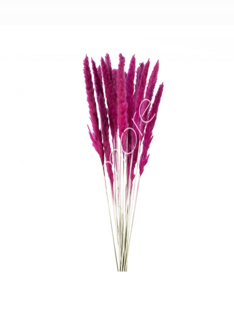 Bundle of dry leaves rose red 75-85cm