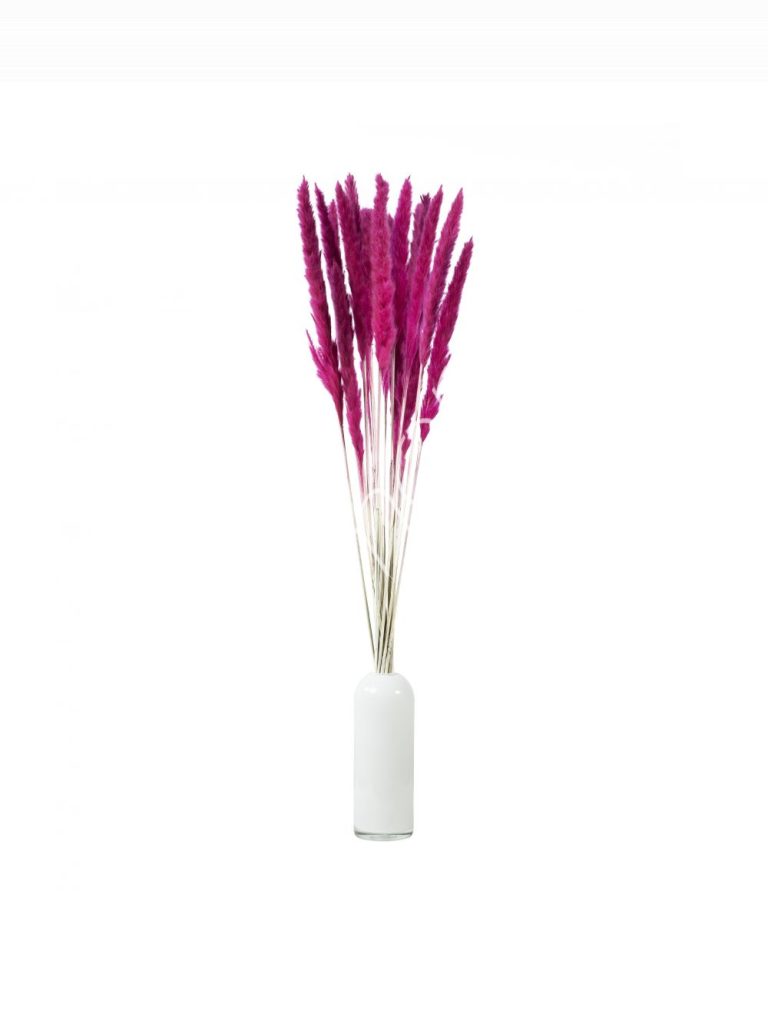 Bundle of dry leaves rose red 75-85cm
