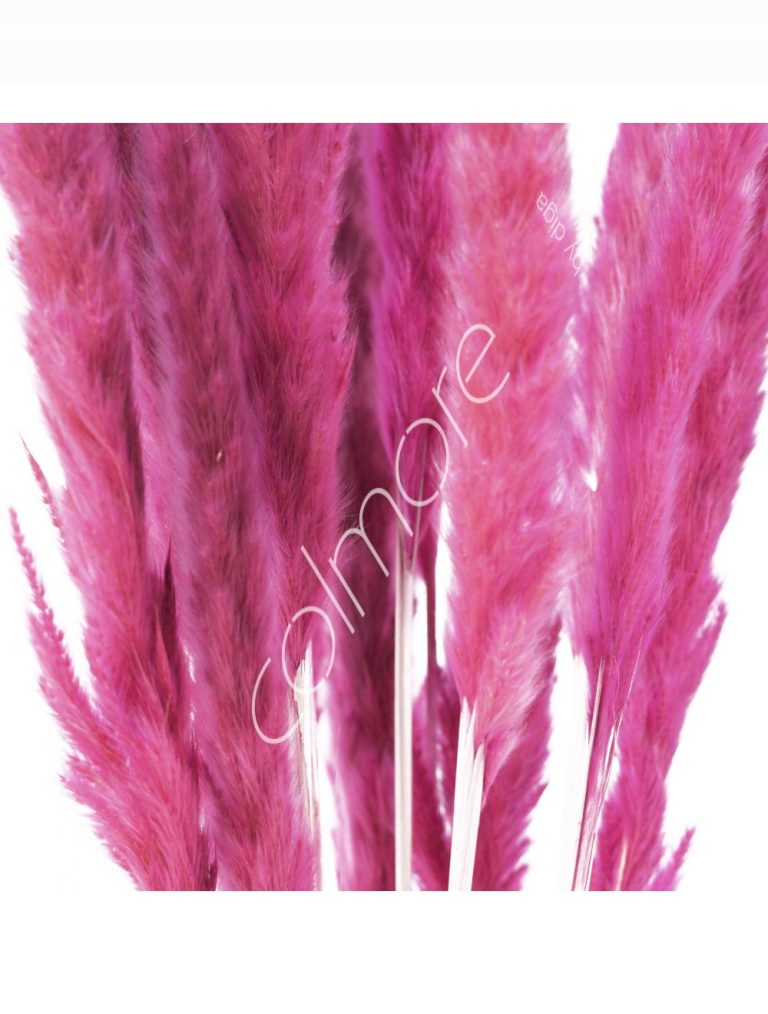 Bundle of dry leaves rose red 75-85cm