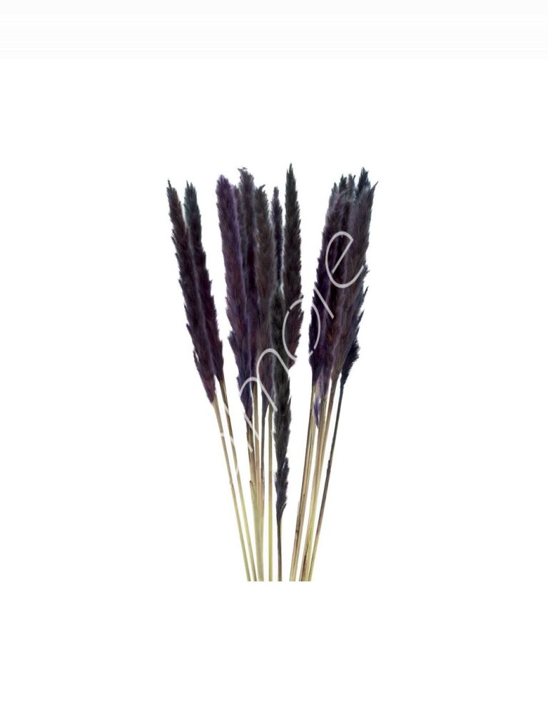 Bundle of dry leaves black 75-85cm