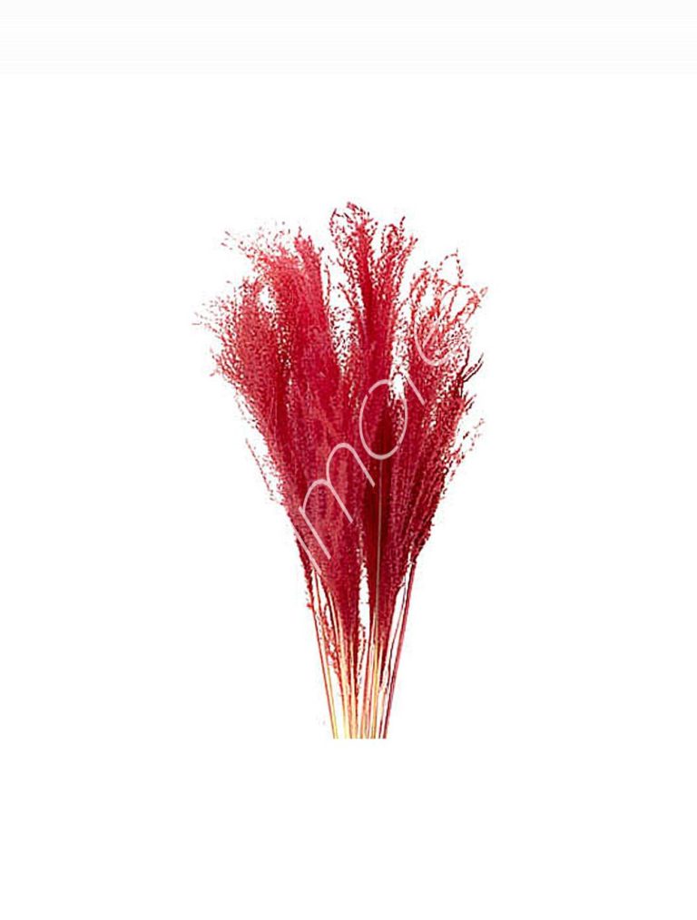 Bundle of dry leaves red 75-85cm