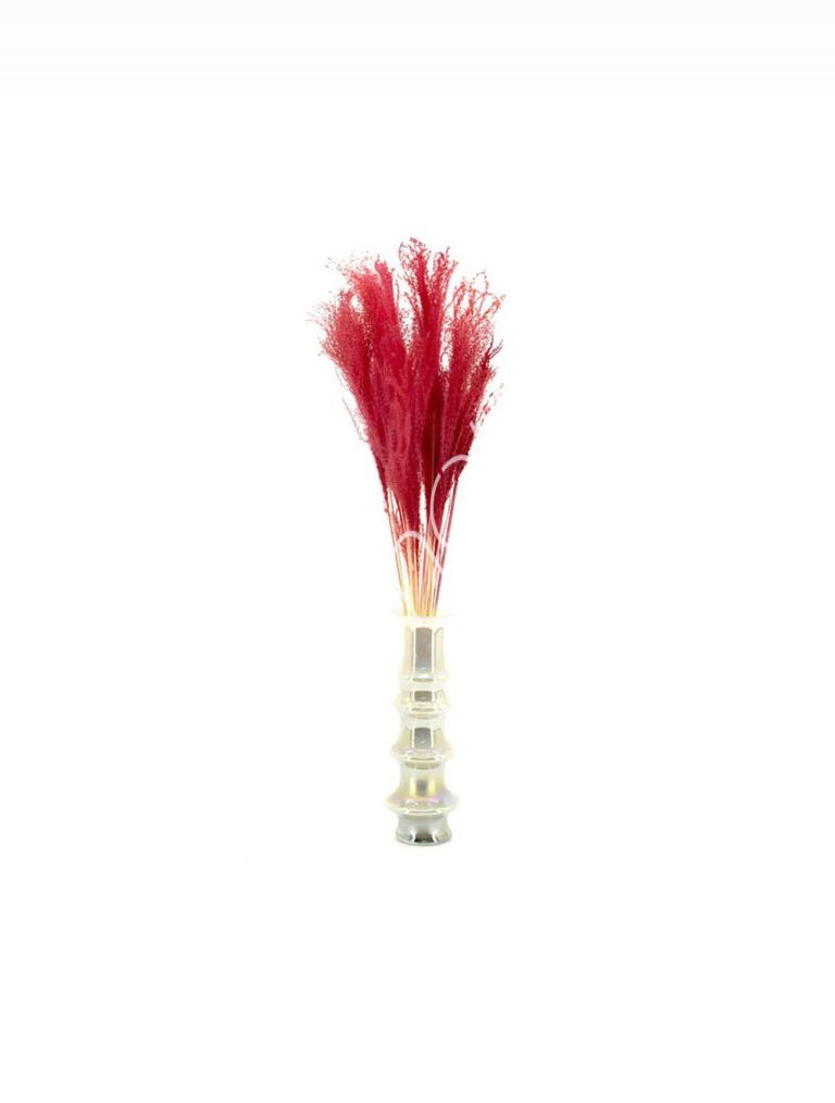 Bundle of dry leaves red 75-85cm