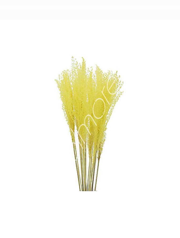 Bundle of dry leaves yellow 75-85cm