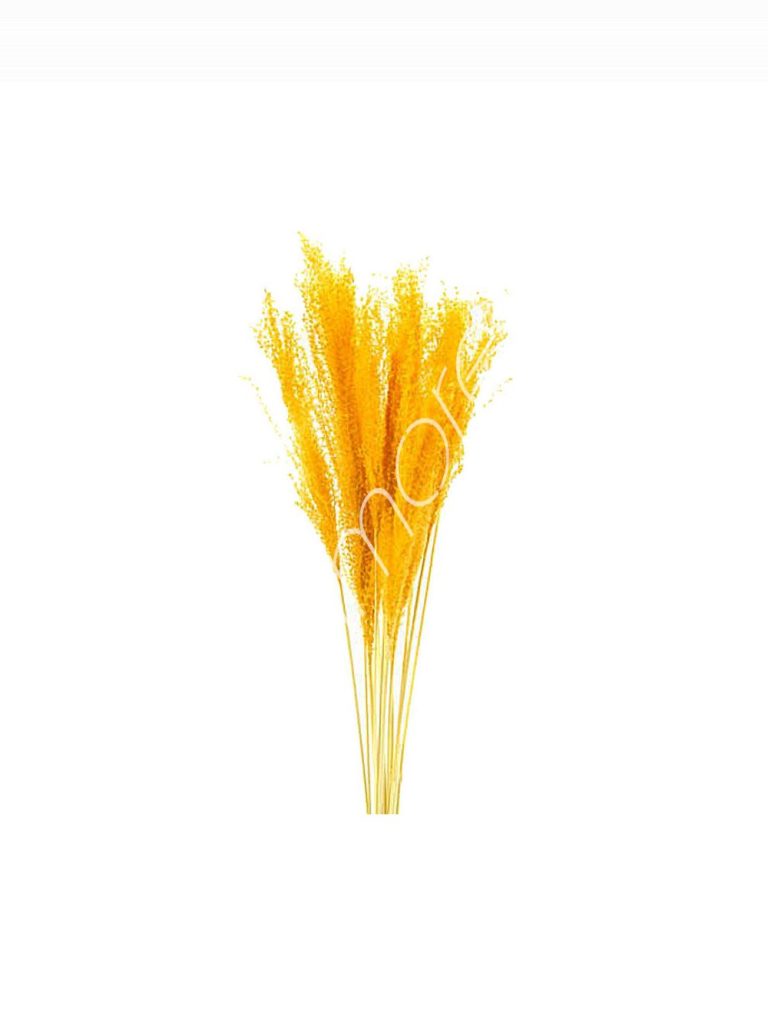Bundle of dry leaves orange 75-85cm