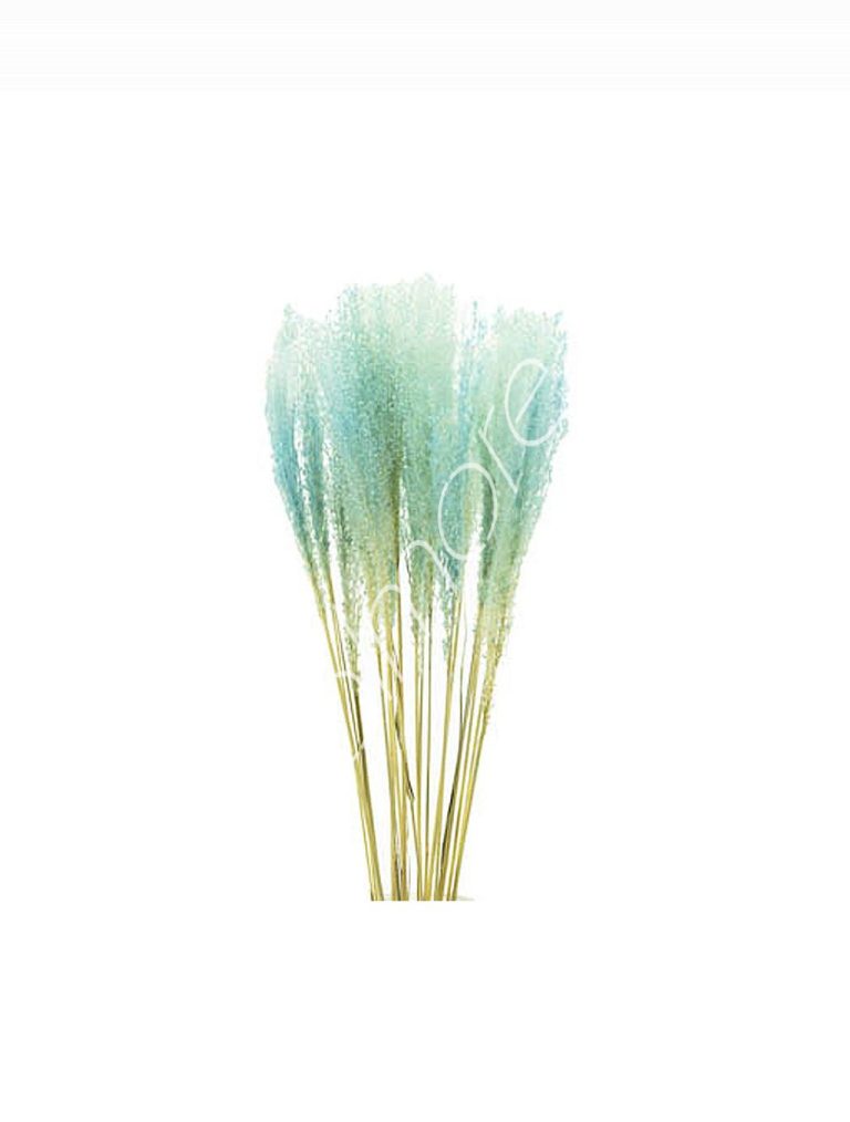 Bundle of dry leaves blue 75-85cm