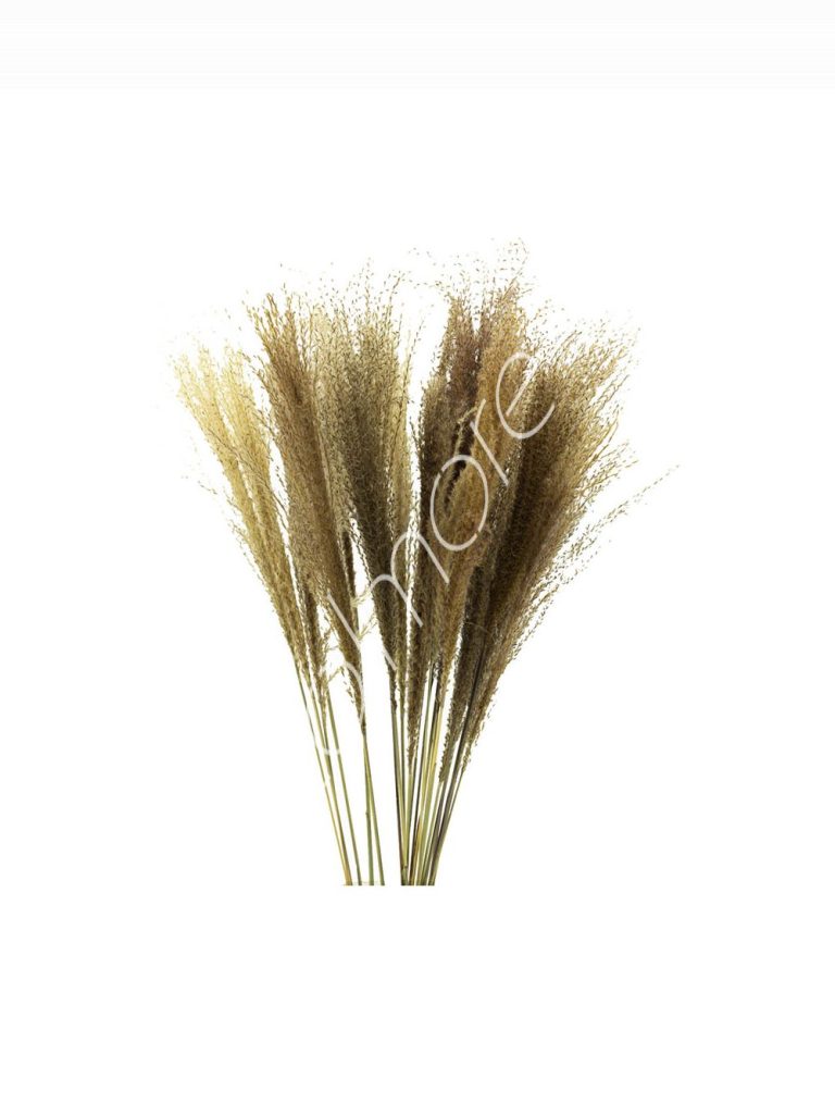 Bundle of dry leaves natural 75-85cm