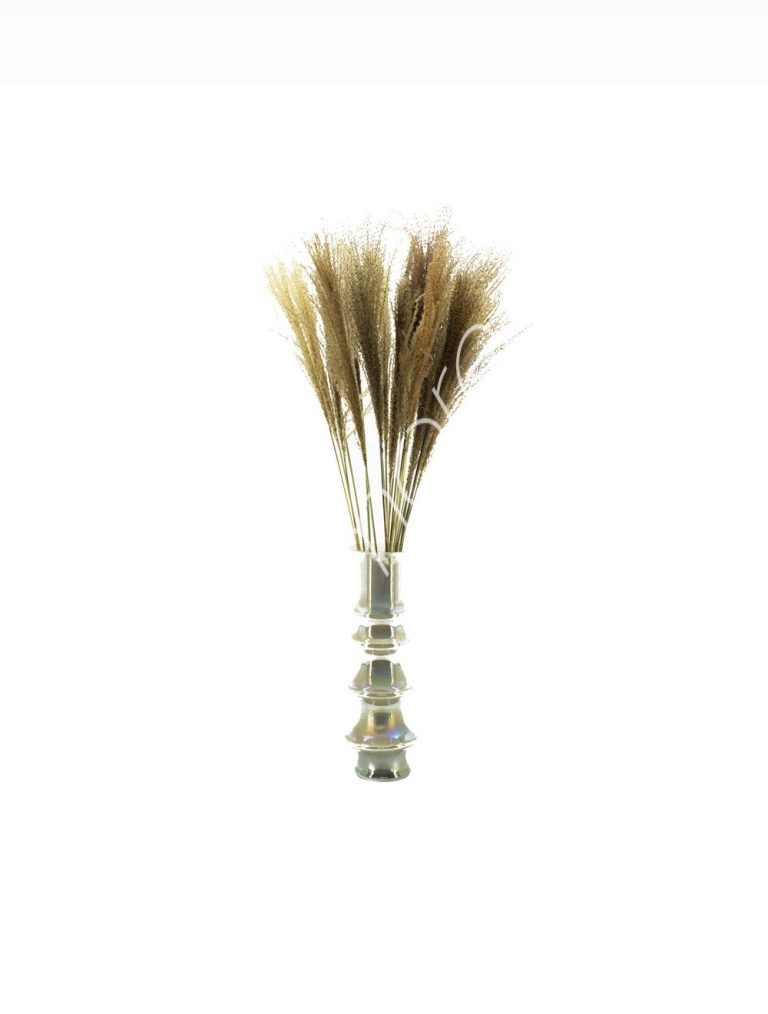 Bundle of dry leaves natural 75-85cm