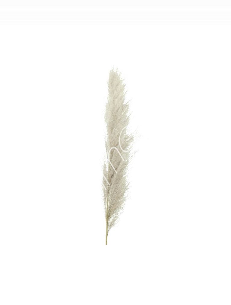Bundle of dry leaves natural 95-105cm