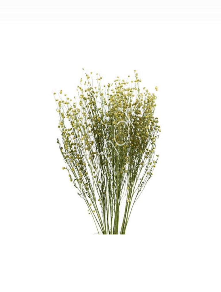 Bundle of dry leaves natural 75-85cm
