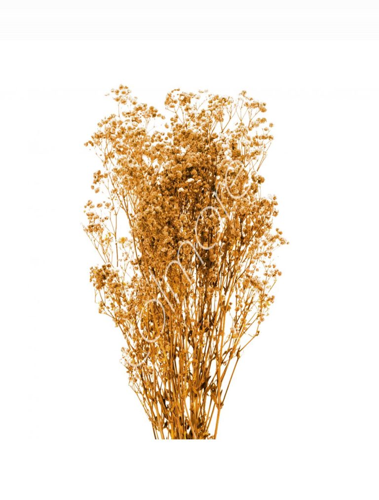 Bundle of dry leaves orange 75-85cm